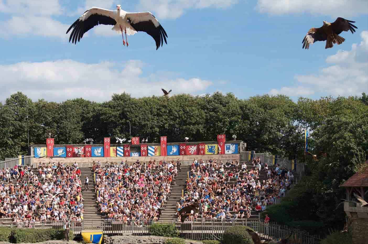 Puy du fou vogelshow