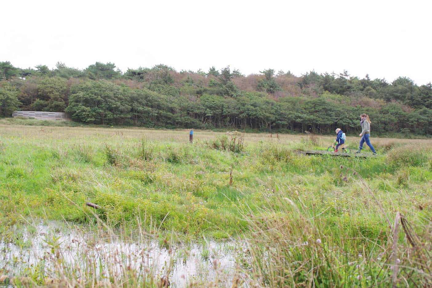 Texel met kinderen wandelen