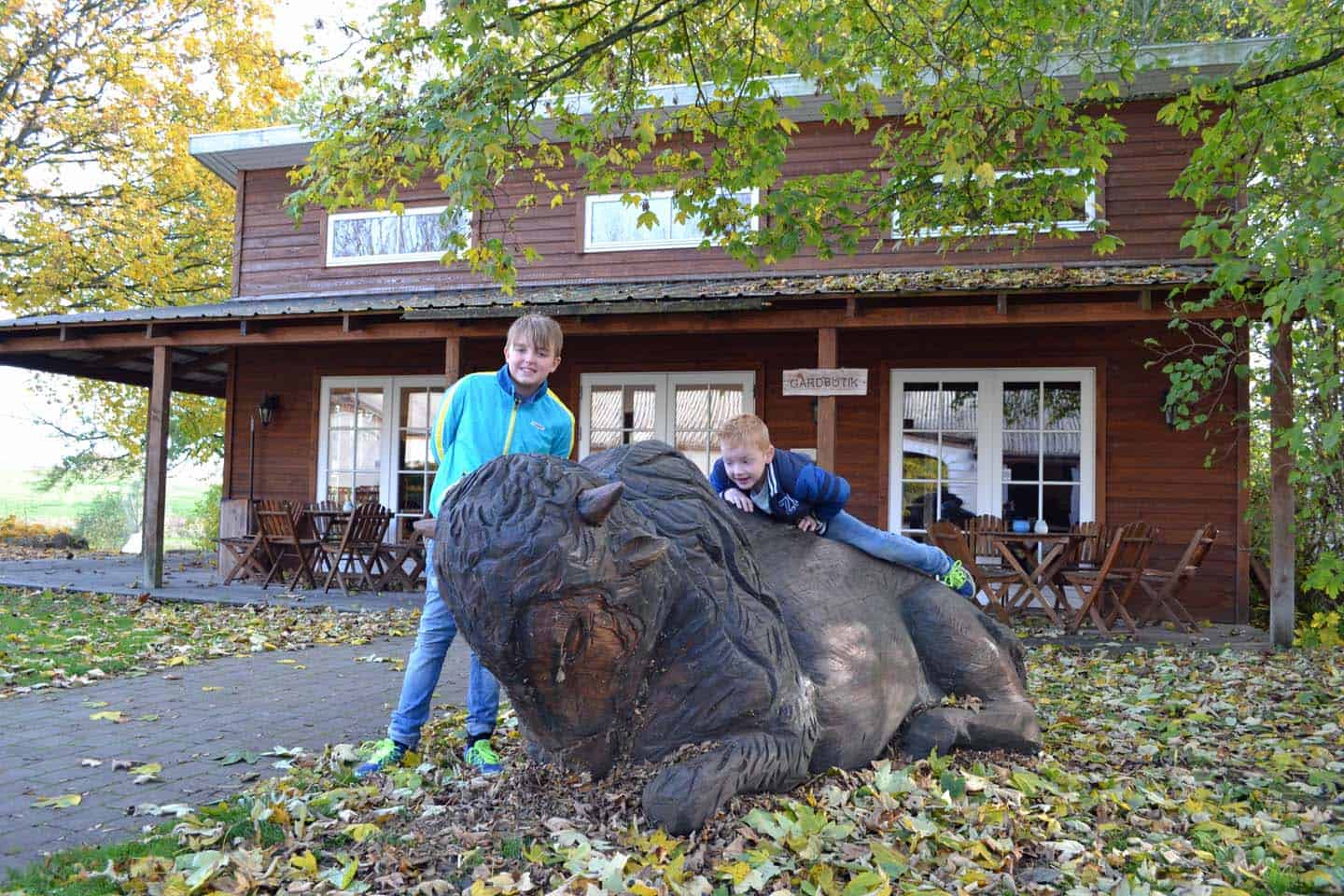 bisonfarm denemarken