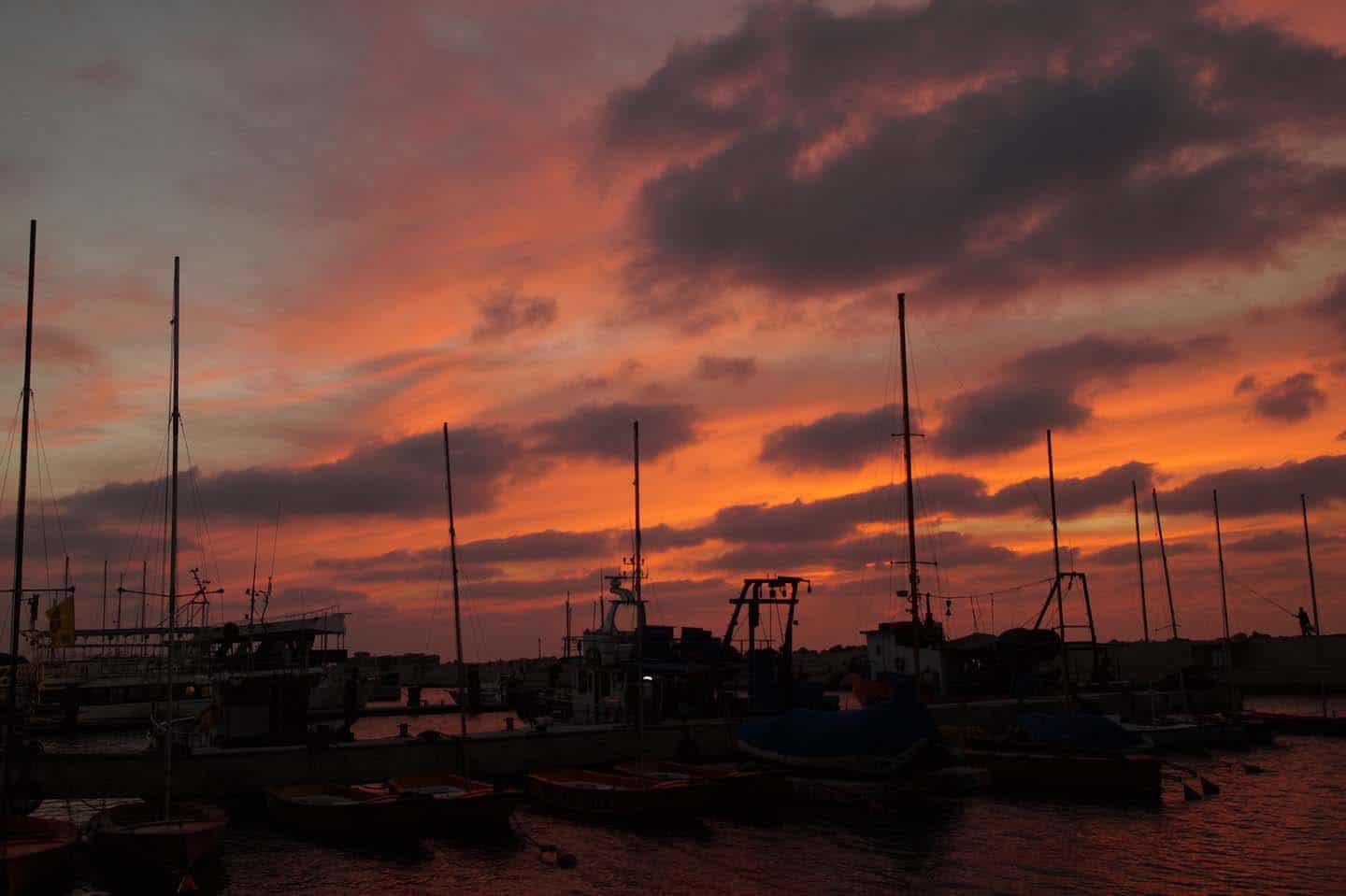 tel aviv jaffa haven