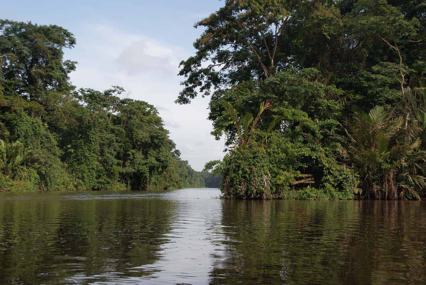 Tortuguero Nationaal Park Costa Rica