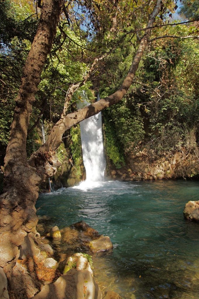 Banias nature reserve