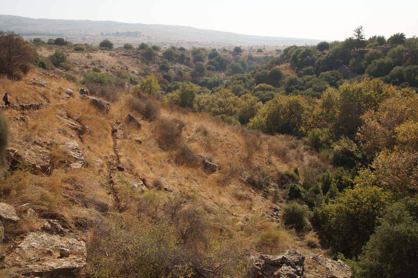 banias national park gola hoogvlakte