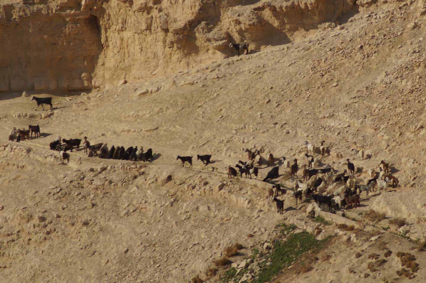 woestijn in israel