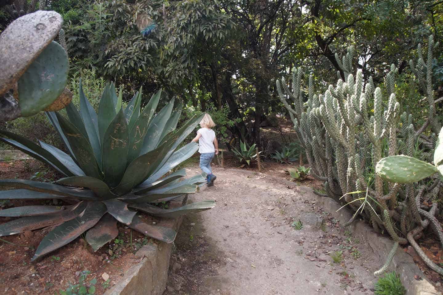 botanische tuin bogota