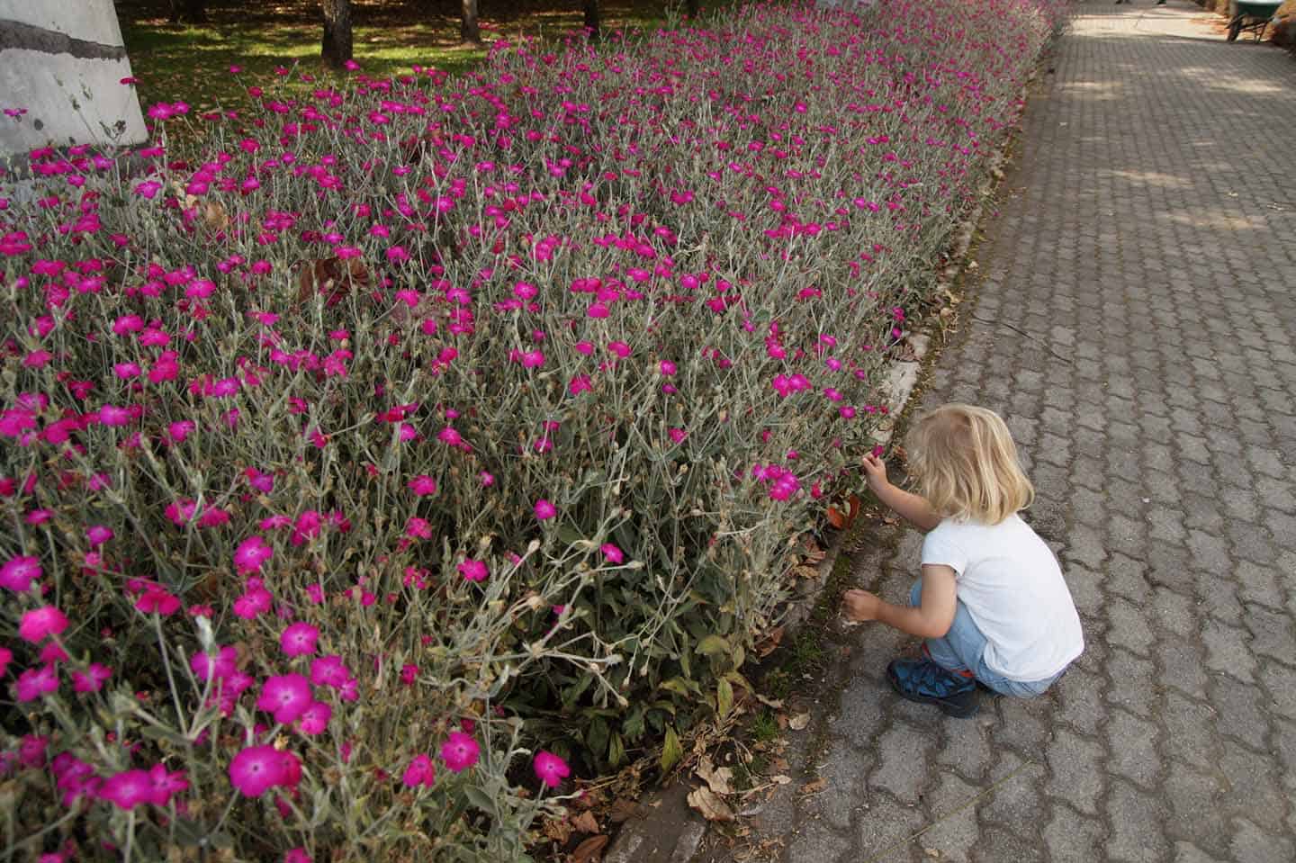 botanische tuin bogota