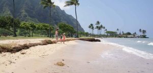 Hawaii met kinderen