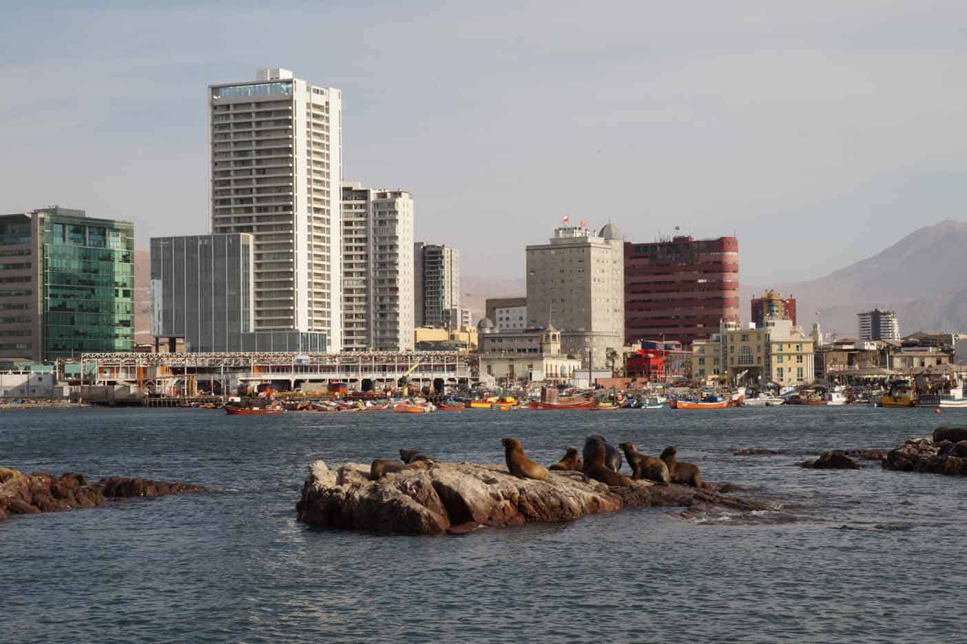 boottocht iquique