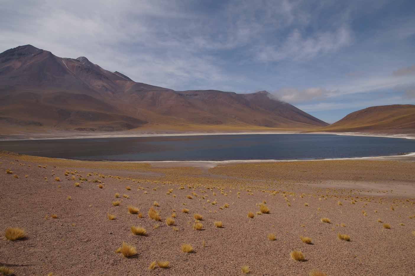 Tour Lagunas Altiplanicas