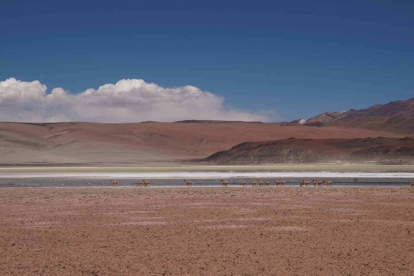 san pedro de atacama