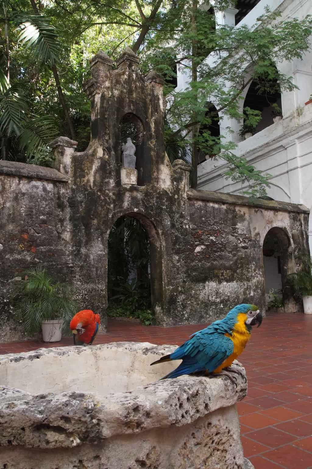 cartagena colombia kathedraal