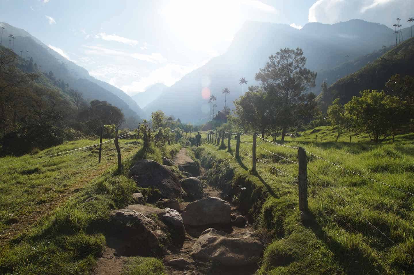 paardrijden Valle de Cocora