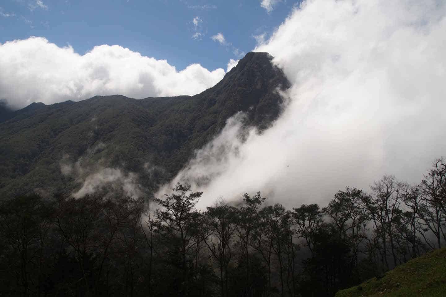 cocora vallei wandeling