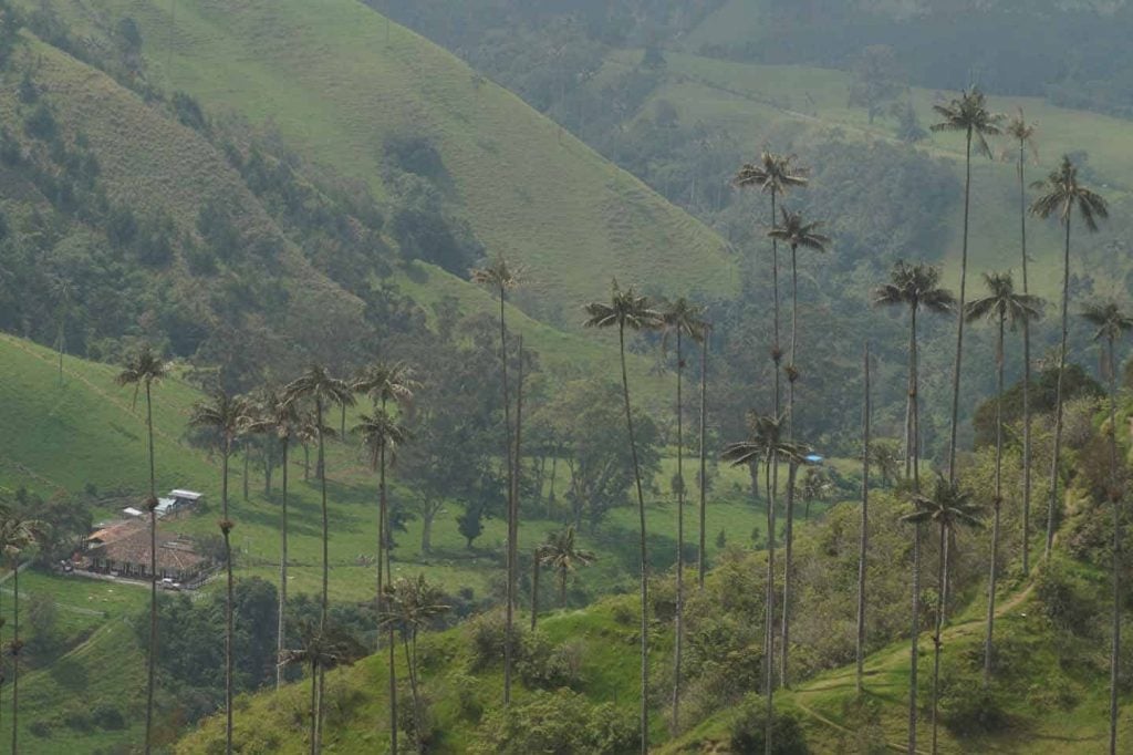 cocora vallei wandeling