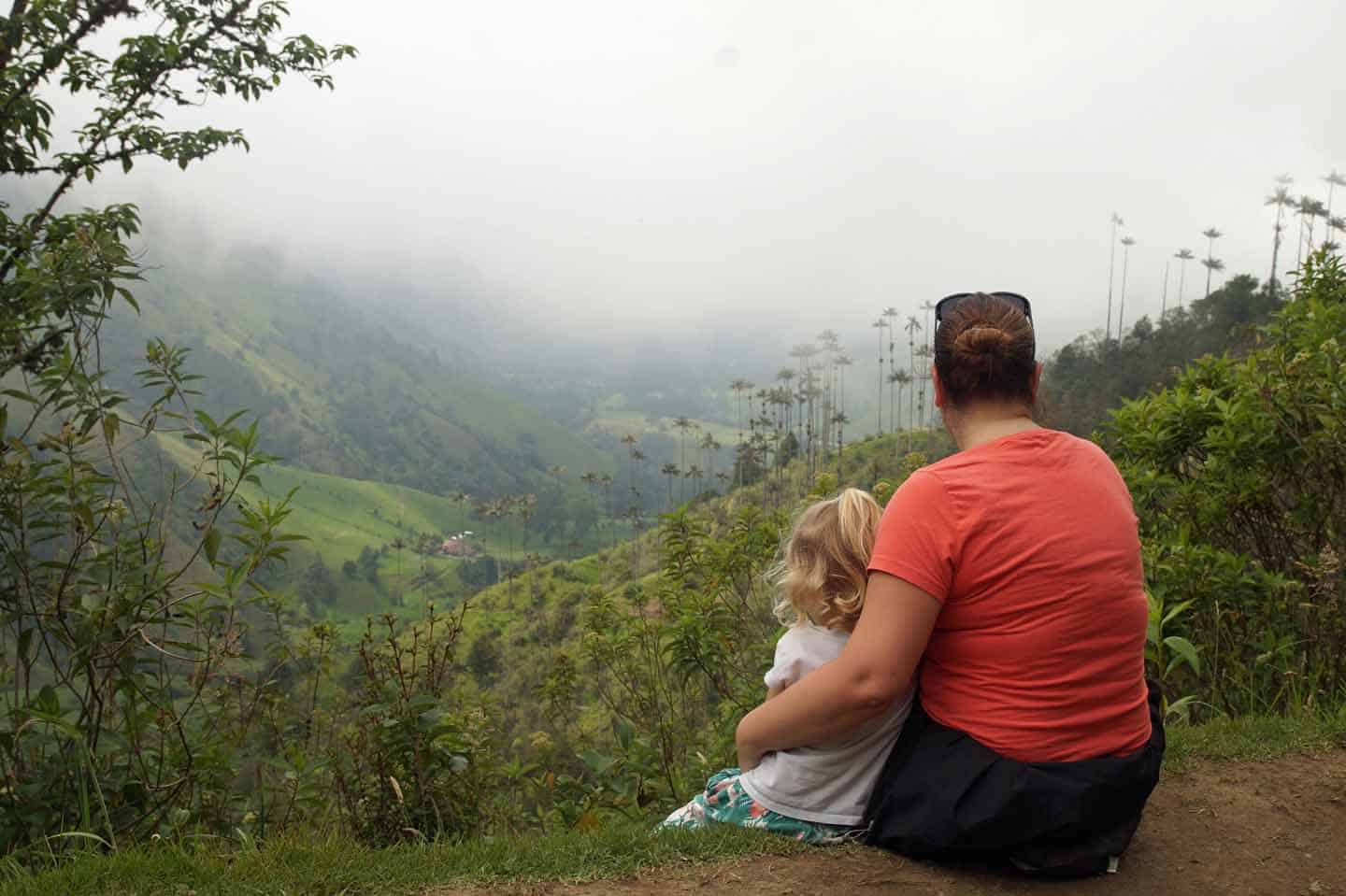 palmbomen in de Valle de Cocora