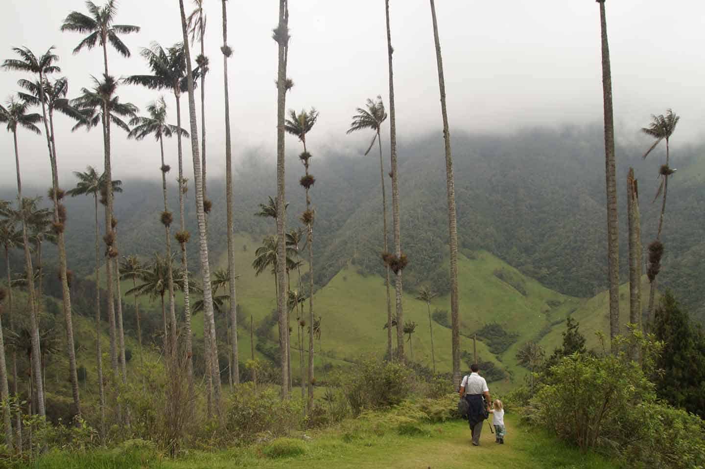 cocora vallei wandeling