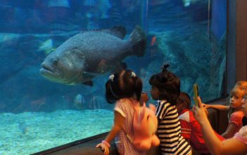 Top 9 attracties in Bangkok voor kinderen