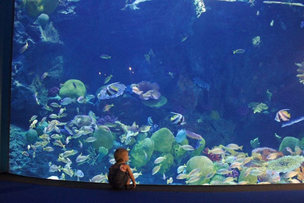 Bangkok aquarium