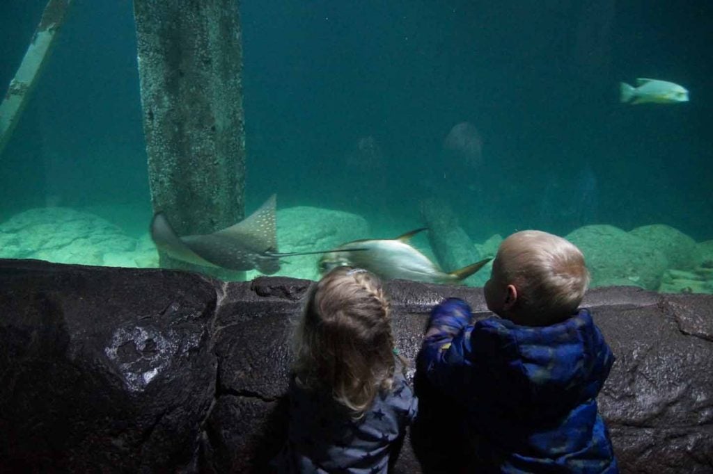 Spreek uit Fonetiek Site lijn 7X Goedkoop weekendje weg met kids, onder de 125 euro - Gezin op Reis