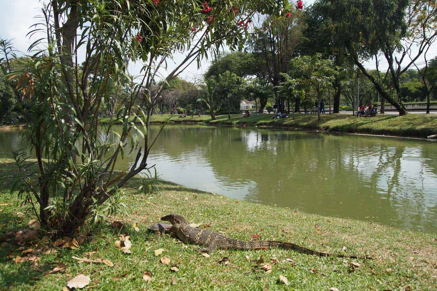 Lumpini park 