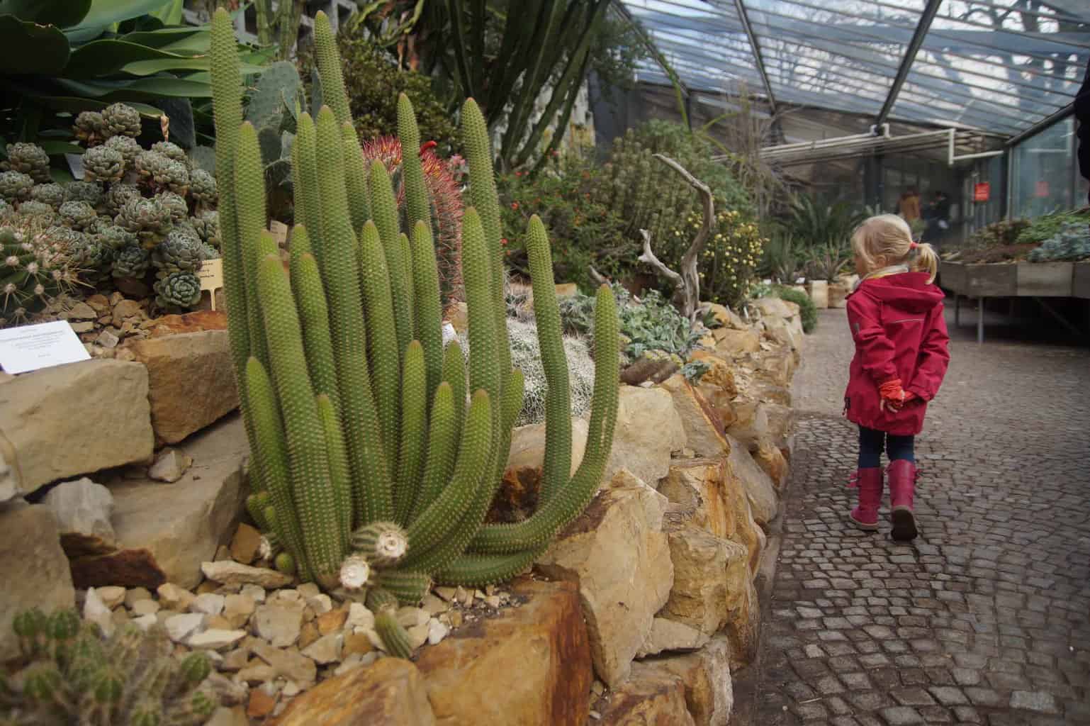 planten und bomen hamburg