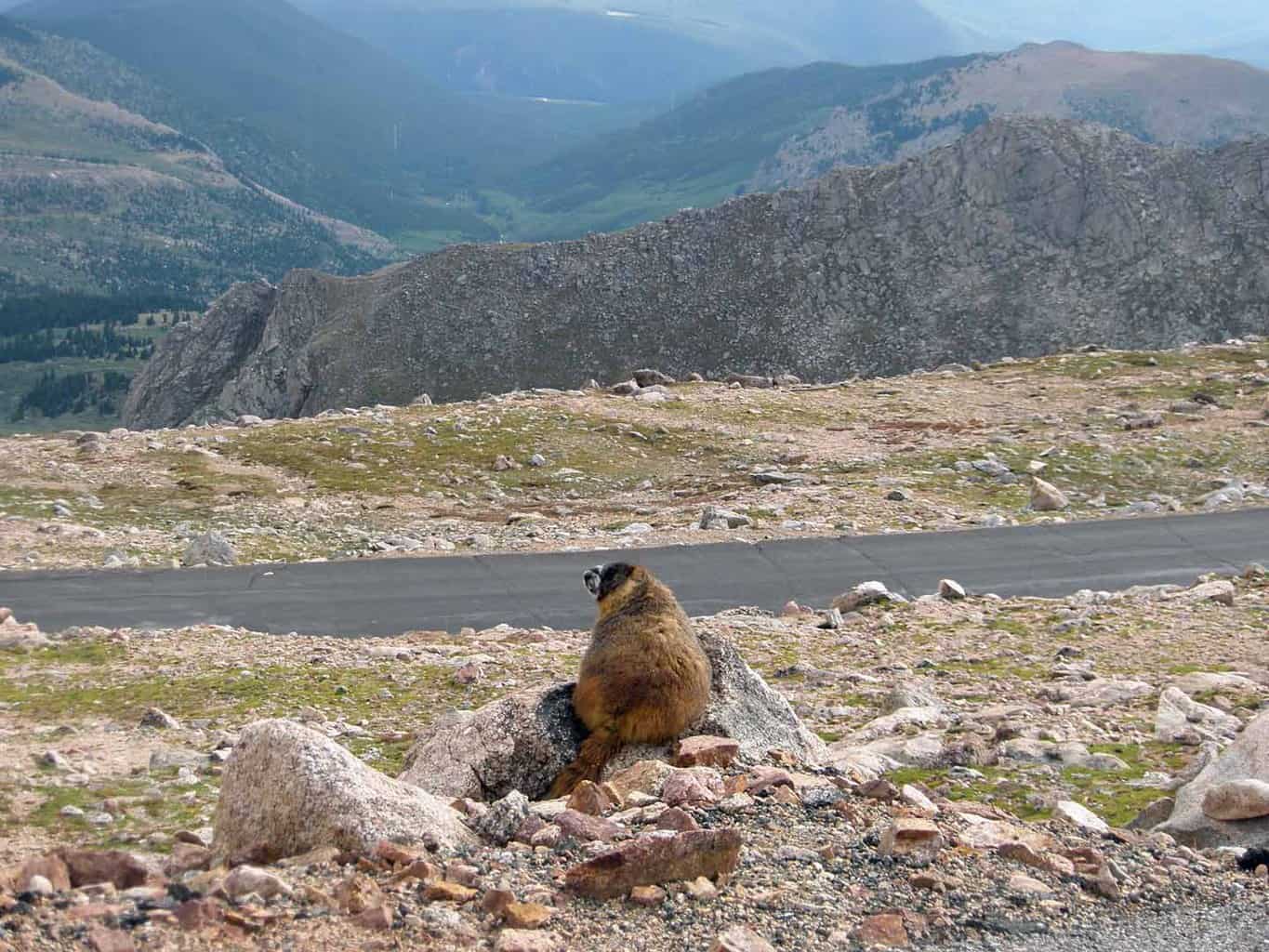 rocky mountains