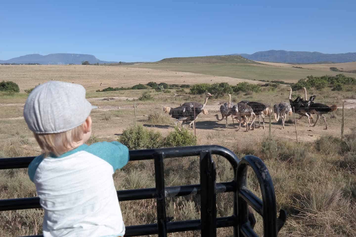 Zuid-afrika met een peuter