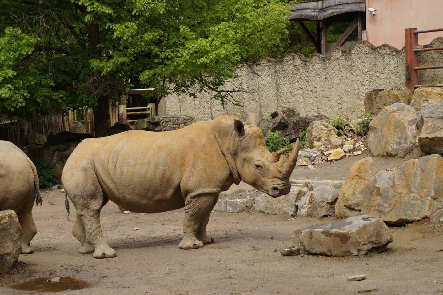 dierentuin osnabruck