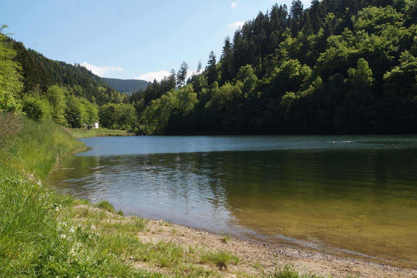 zwemmen harz