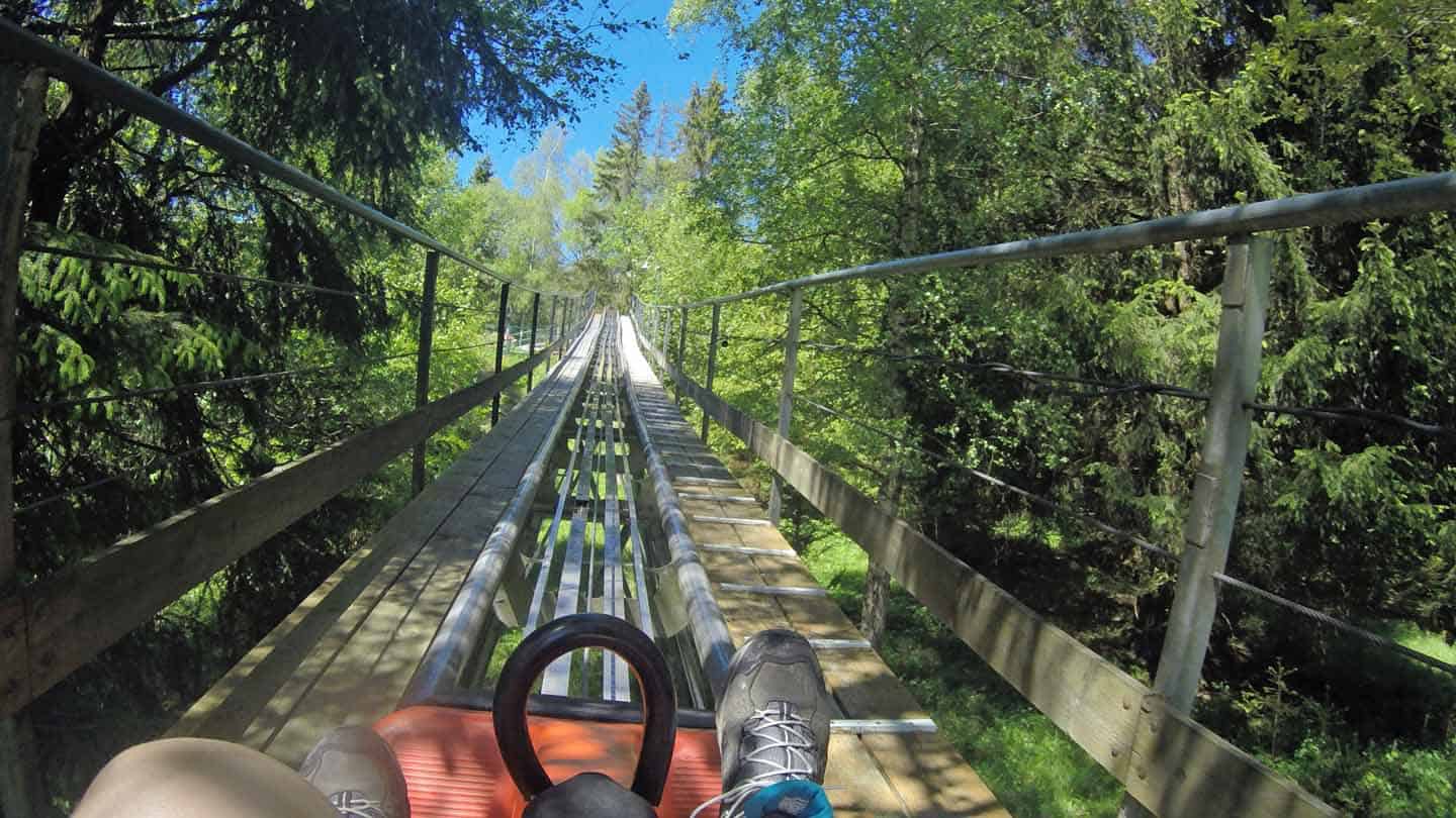 harz rodelbaan