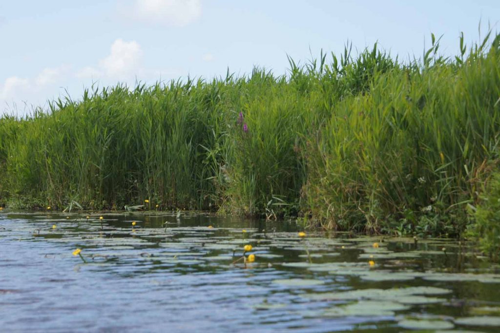 nationaal park weerribben wieden