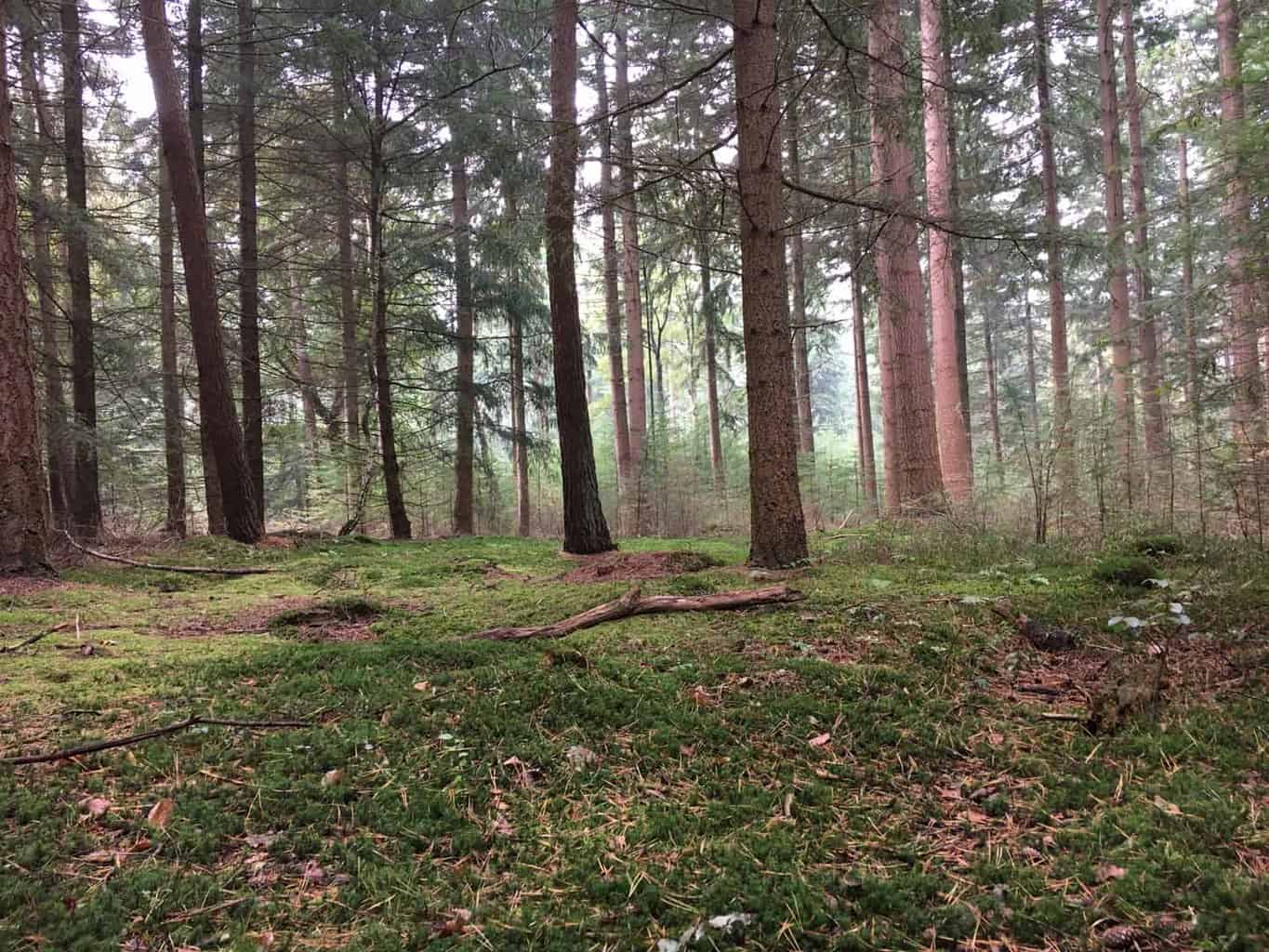 Nationaal Park de Veluwezoom