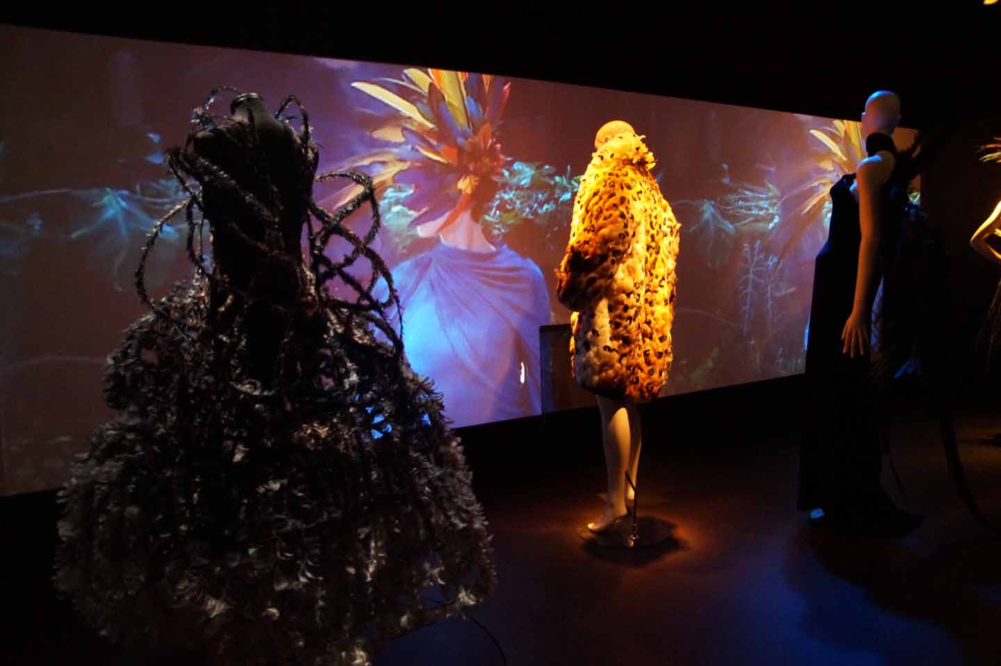 afrikamuseum