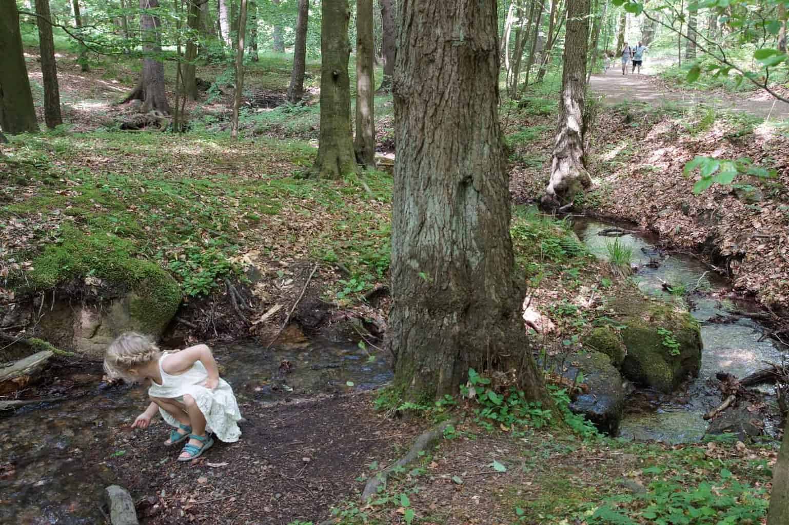 Kabelbaan Bad Harzburg