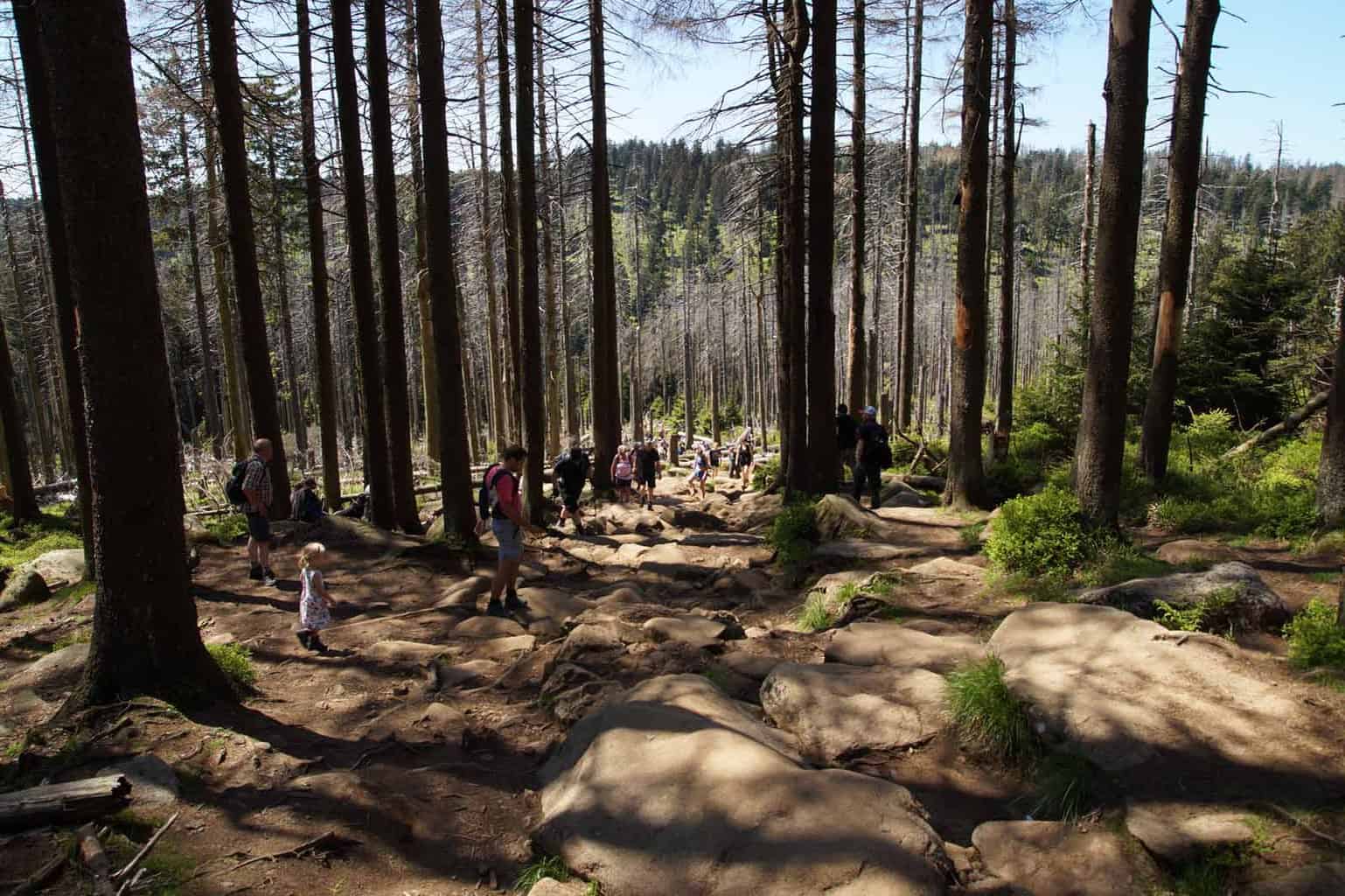 brocken wandelen harz