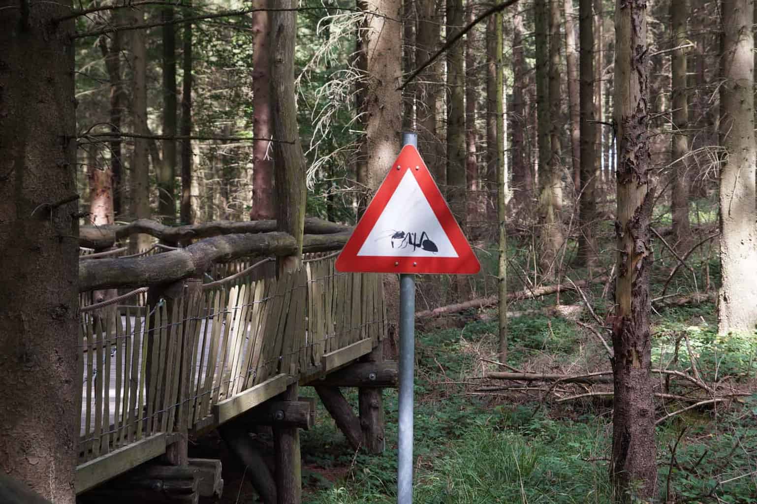 wilde weg eifel wandelen