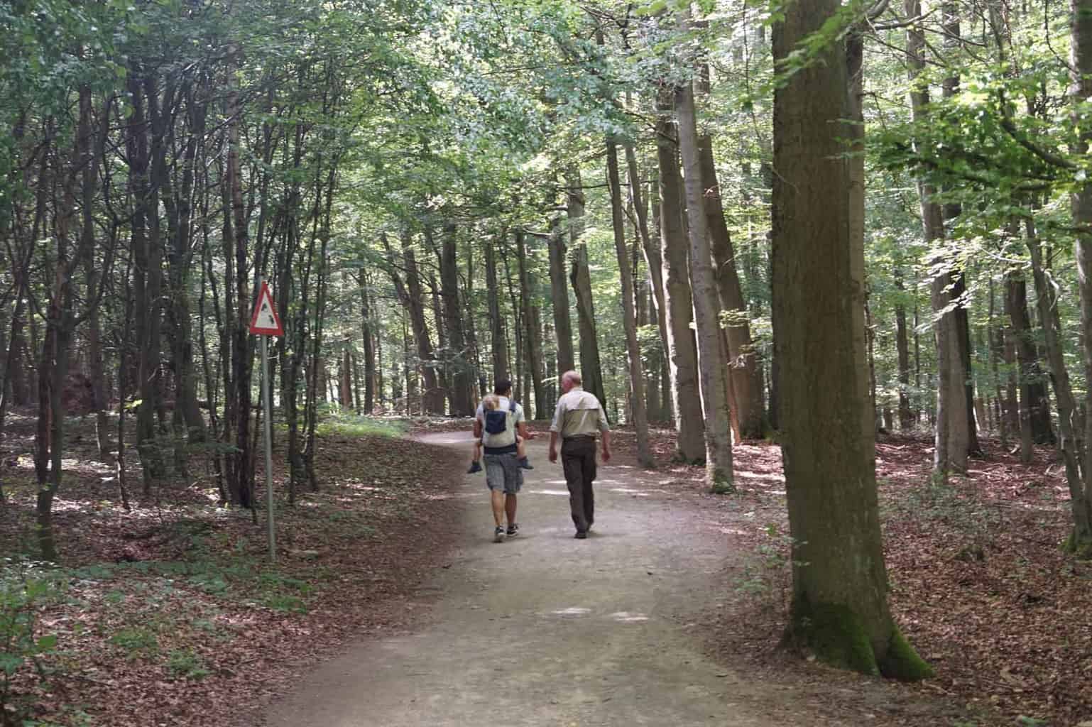 wilde weg eifel wandelen