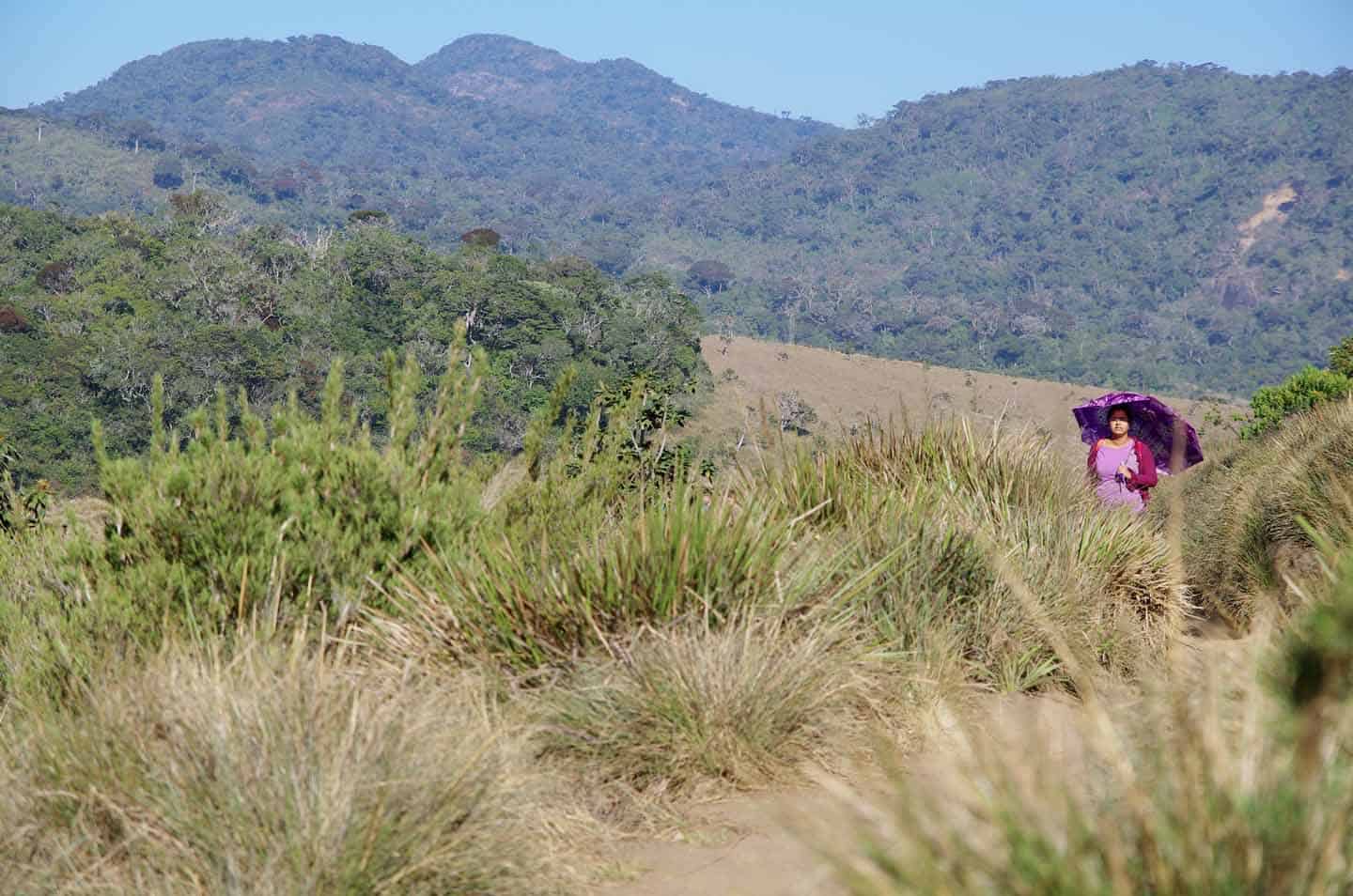 Nuwara Eliya