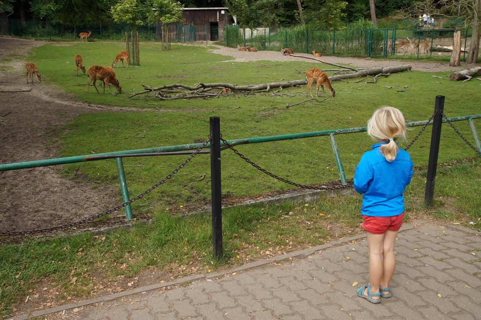 Gdansk dierentuin