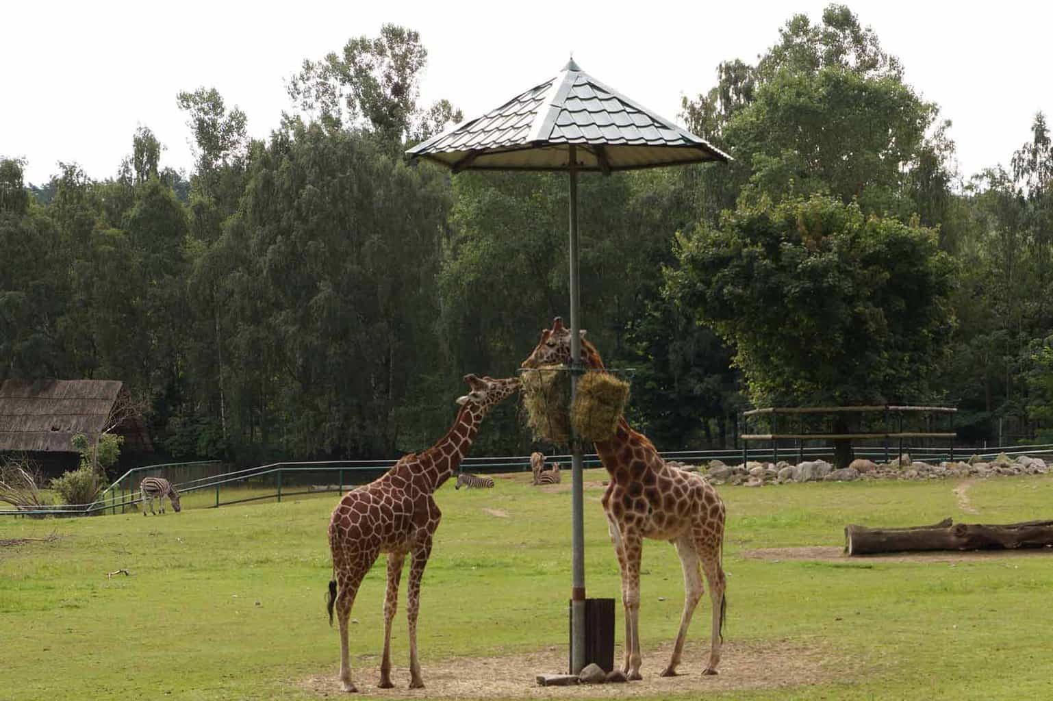 Gdansk dierentuin