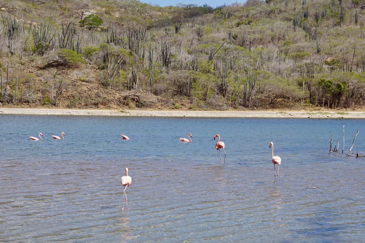 bonaire met kinderen