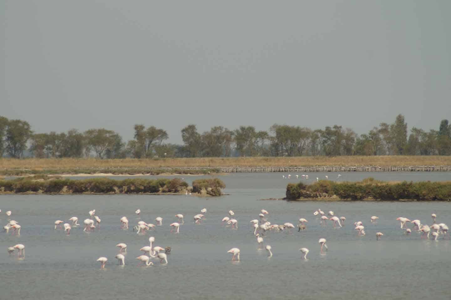 Po delta national park