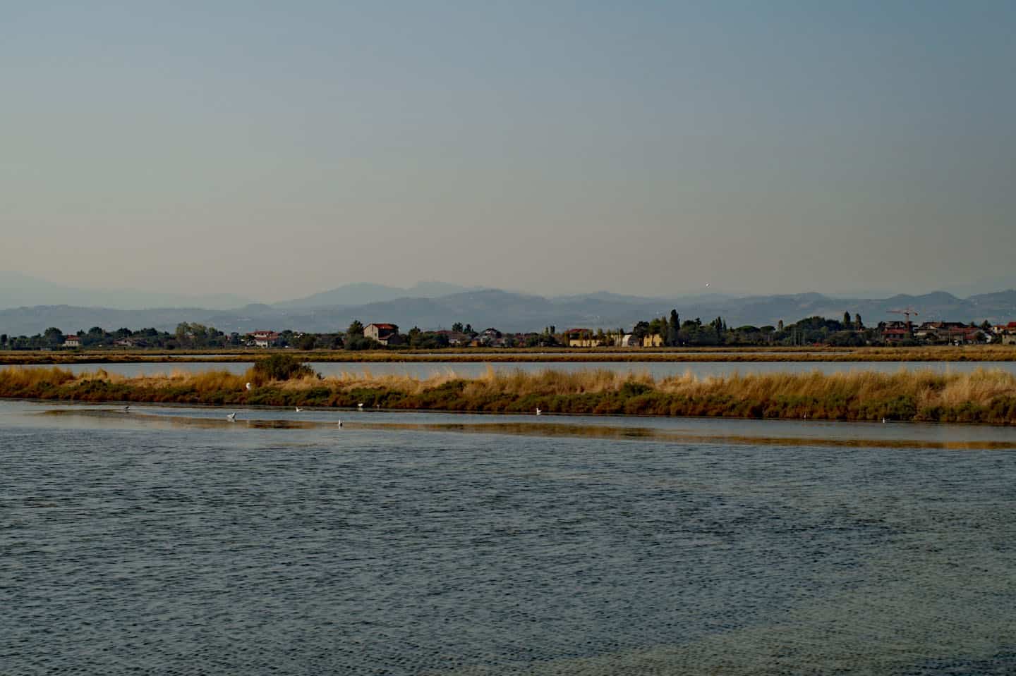 cervia salar