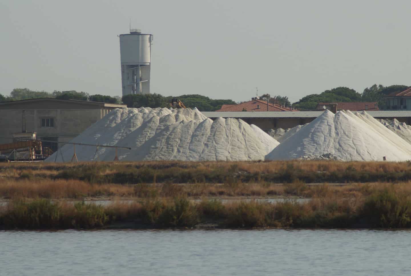 cervia salar