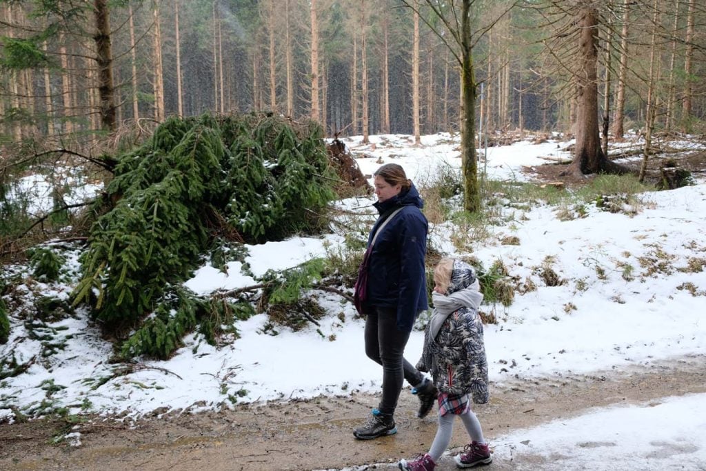 Wandelen in de harz natuurmythepad