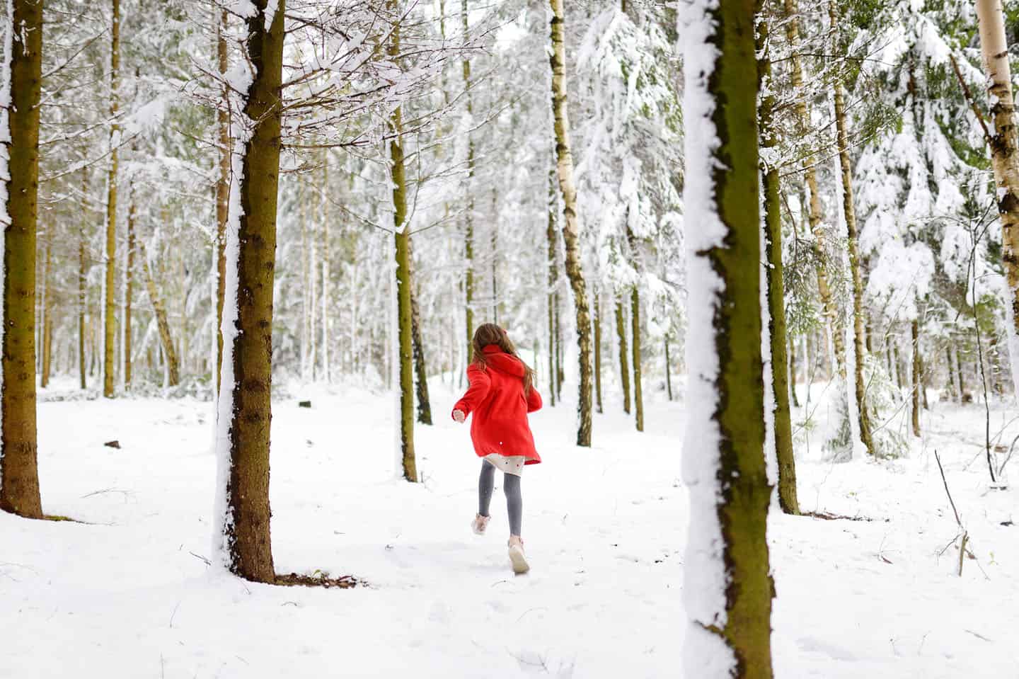 Skigebied dichtbij nederland