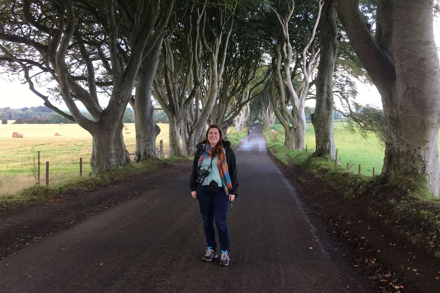 The Dark Hedges