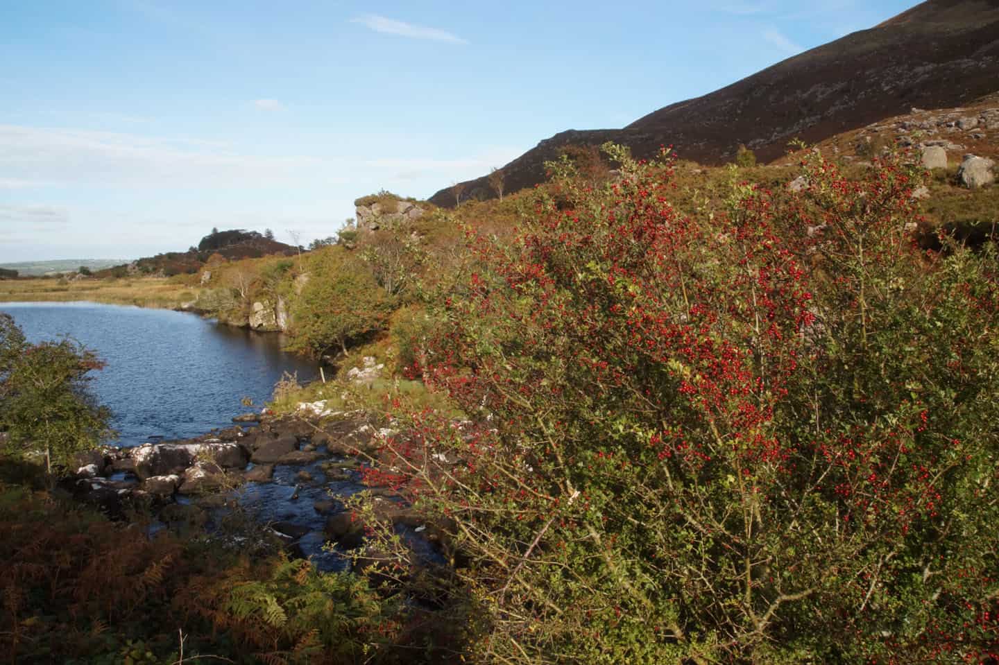 Gap of Dunloe