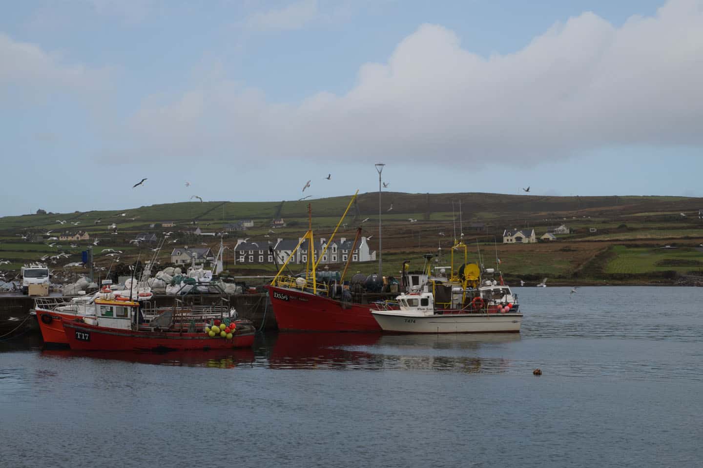 Ring of kerry Portmagee