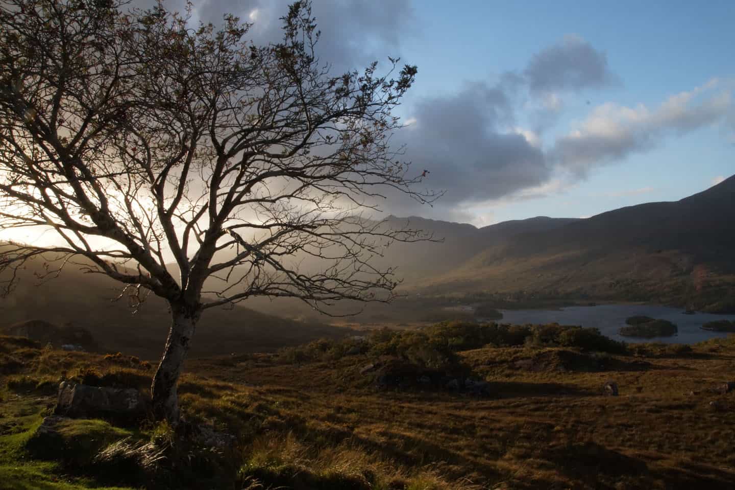 Ring of Kerry Ladies View